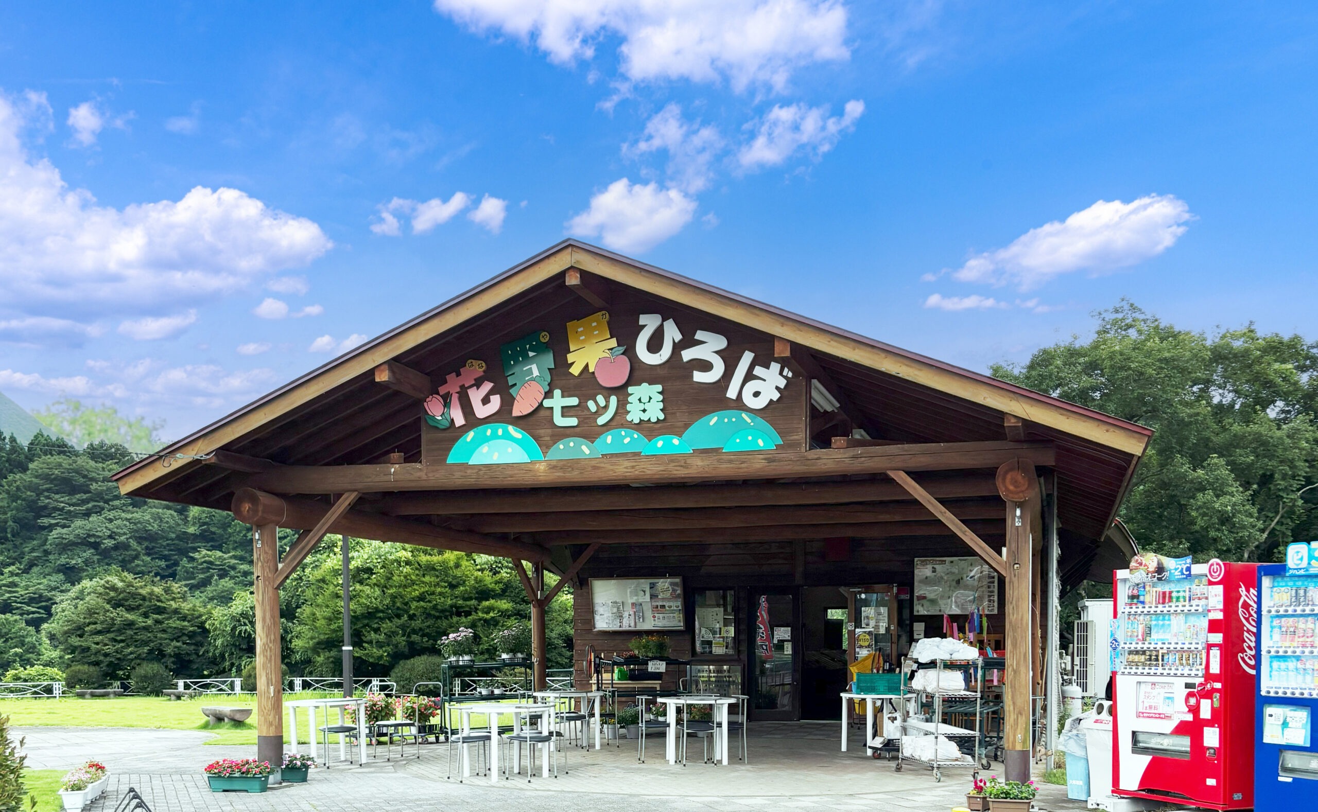 真作/藤田亀六/藤田鶴園/野菜/果物/横物/布袋屋掛軸HK-88 真作/藤田亀六/藤田鶴園/野菜/果物/横物/布袋屋掛軸HK-